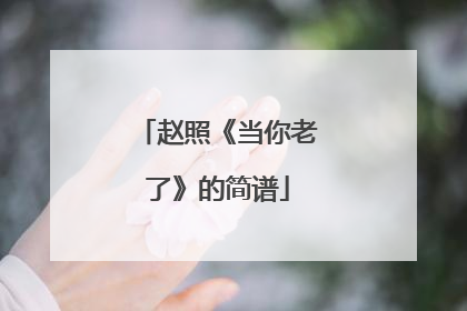 赵照《当你老了》的简谱