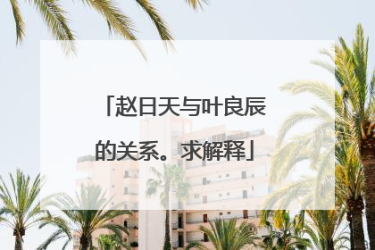 赵日天与叶良辰的关系。求解释