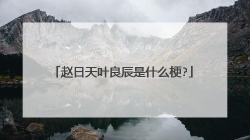 赵日天叶良辰是什么梗?