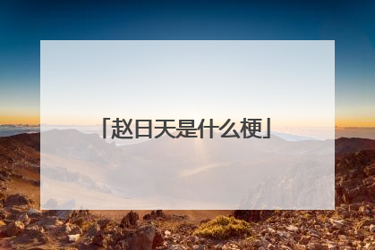 赵日天是什么梗