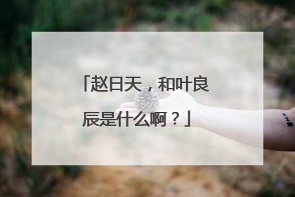 赵日天，和叶良辰是什么啊？