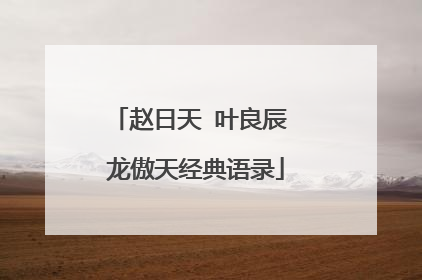 赵日天 叶良辰 龙傲天经典语录