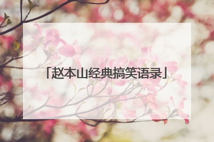 赵本山经典搞笑语录