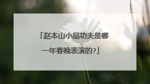 赵本山小品功夫是哪一年春晚表演的?