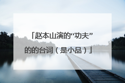 赵本山演的“功夫”的的台词（是小品）