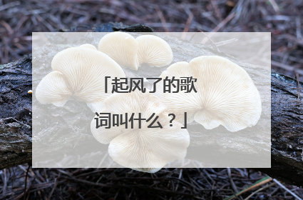 起风了的歌词叫什么？