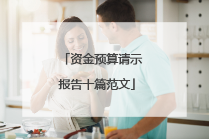 资金预算请示报告十篇范文