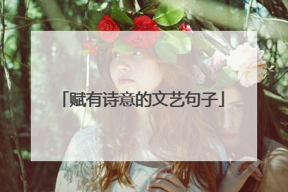 赋有诗意的文艺句子