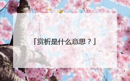 赏析是什么意思？