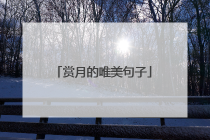 赏月的唯美句子