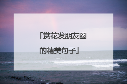 赏花发朋友圈的精美句子