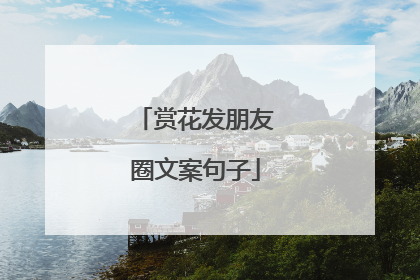 赏花发朋友圈文案句子