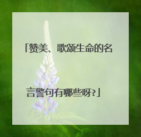 赞美、歌颂生命的名言警句有哪些呀?