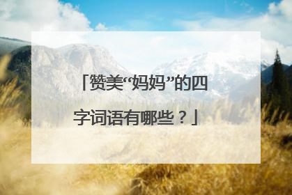 赞美“妈妈”的四字词语有哪些?
