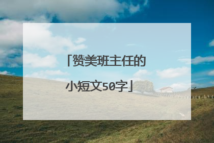 赞美班主任的小短文50字