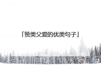 赞美父爱的优美句子
