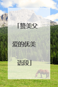 赞美父爱的优美语段