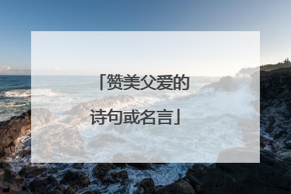 赞美父爱的诗句或名言