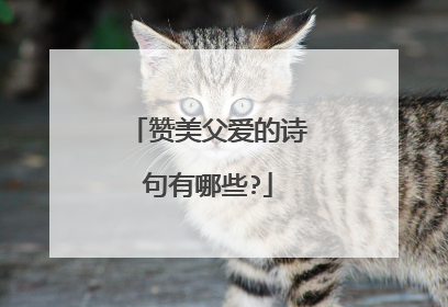 赞美父爱的诗句有哪些?