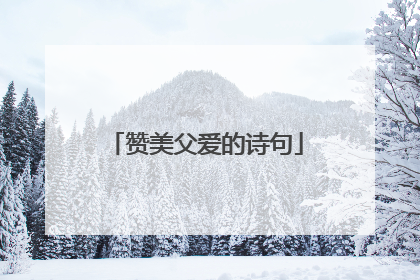 赞美父爱的诗句