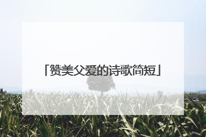 赞美父爱的诗歌简短