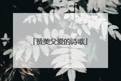 赞美父爱的诗歌