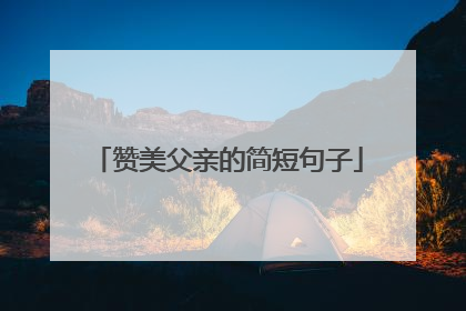 赞美父亲的简短句子