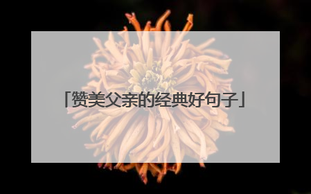 赞美父亲的经典好句子