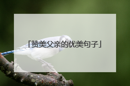 赞美父亲的优美句子