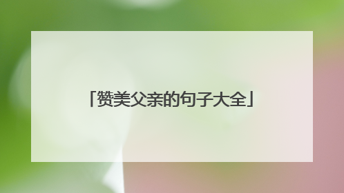 赞美父亲的句子大全
