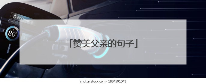 赞美父亲的句子