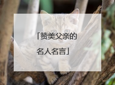 赞美父亲的名人名言