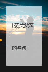 赞美父亲的名句