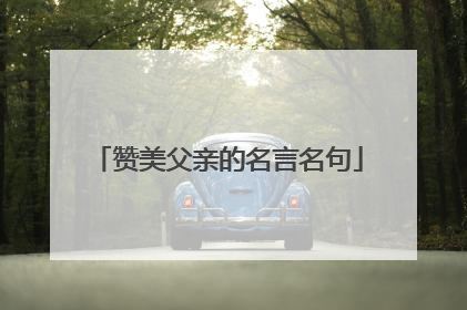 赞美父亲的名言名句