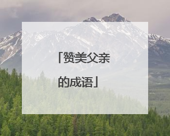 赞美父亲的成语