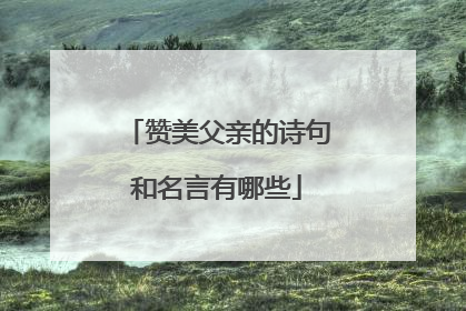 赞美父亲的诗句和名言有哪些