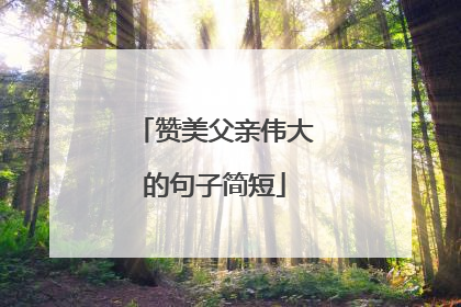 赞美父亲伟大的句子简短