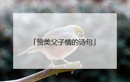 赞美父子情的诗句