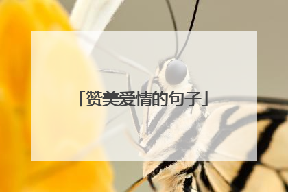 赞美爱情的句子