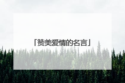 赞美爱情的名言