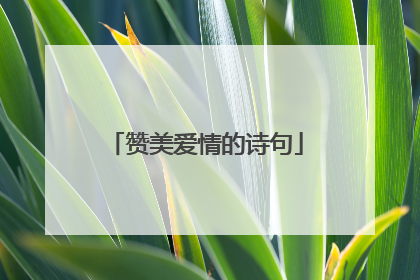 赞美爱情的诗句