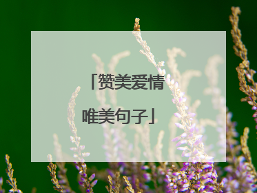 赞美爱情唯美句子