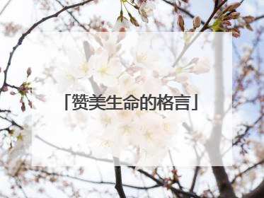赞美生命的格言