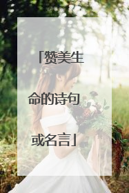 赞美生命的诗句或名言