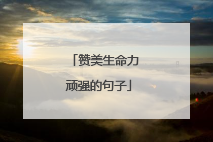 赞美生命力顽强的句子