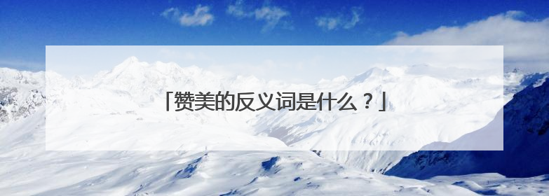 赞美的反义词是什么？