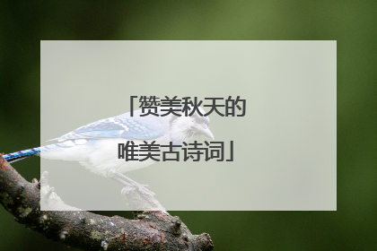 赞美秋天的唯美古诗词