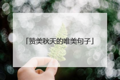 赞美秋天的唯美句子