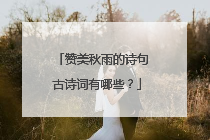 赞美秋雨的诗句古诗词有哪些？