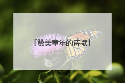 赞美童年的诗歌